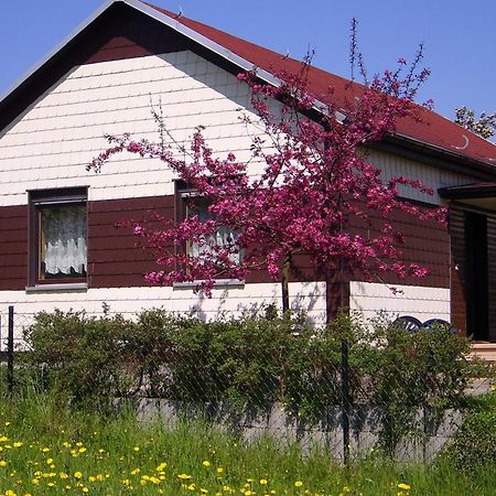 Waldblick Villa Waltershausen Eksteriør billede